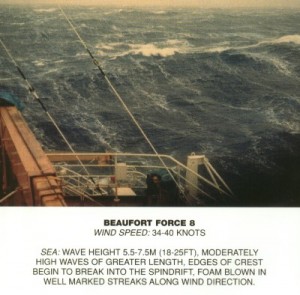 Beaufort_scale_8-300x295.jpg
